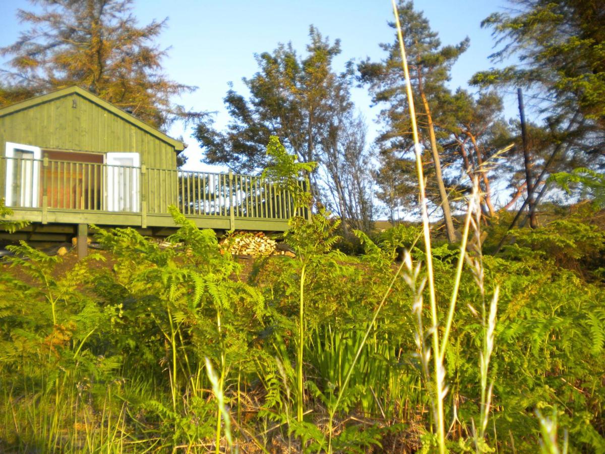 The Green House Glenelg Exteriör bild